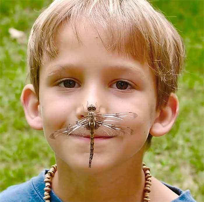 Alex with dragonfly