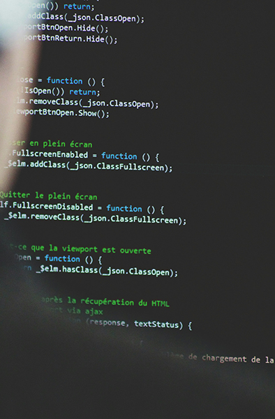 Close up of a computer screen showcasing code from a website