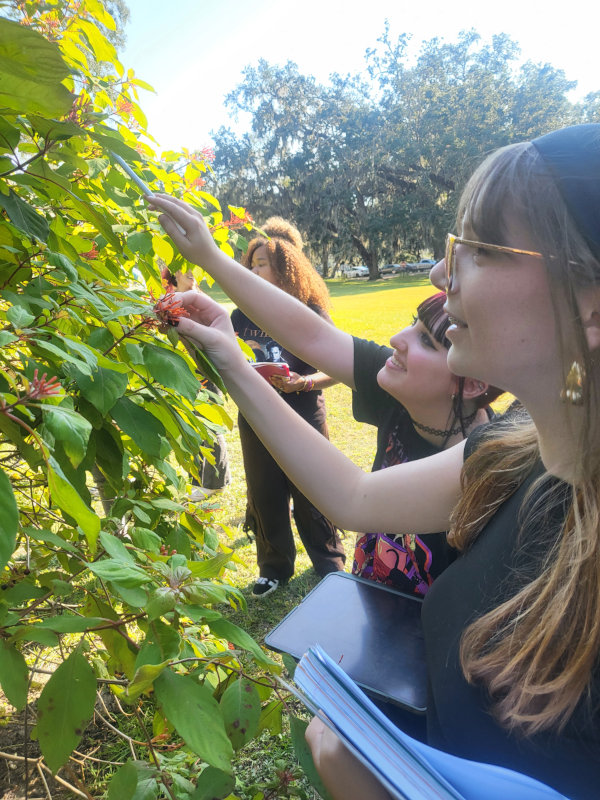 three young girls near a fruit tree reaching out to inspect the tree flowers