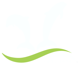 charter day logo dolphins