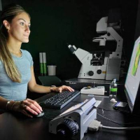 School of Sciences and Mathematics