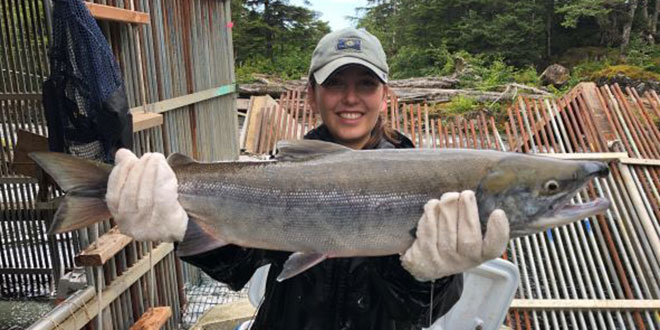Scientist and Photographer Anna Tripp Studies Alaskan Salmon