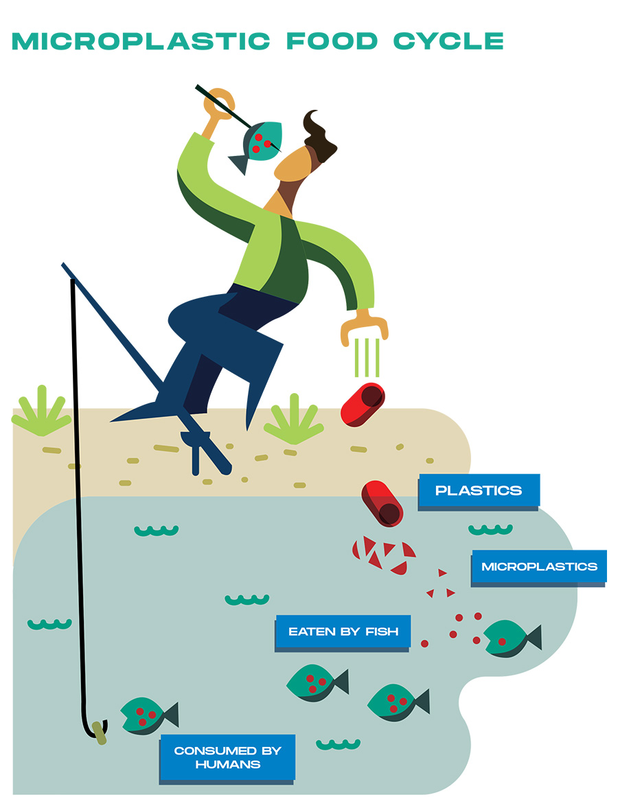 Microplastic Food Cycle